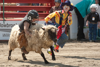Mutton Bustin Photo