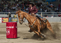 Rodeo Hospitality Photo 1