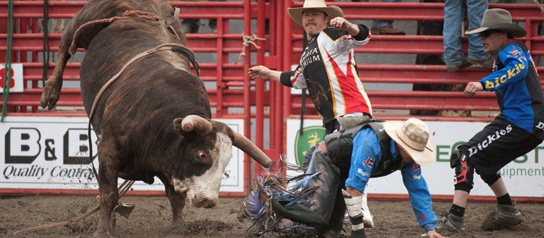 rodeo_promo2