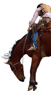 Rodeo Image