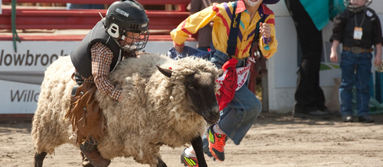 Mutton' Bustin'