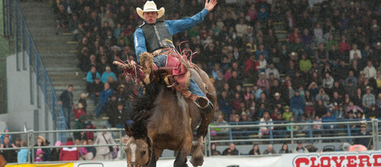 Saddle Bronc Riding